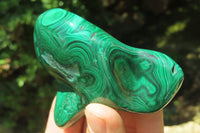 Polished Flower Banded Malachite Free Forms x 6 From Congo