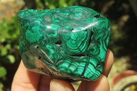 Polished Flower Banded Malachite Free Forms x 6 From Congo