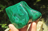 Polished Flower Banded Malachite Free Forms x 6 From Congo