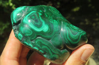 Polished Flower Banded Malachite Free Forms x 6 From Congo