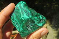 Polished Flower Banded Malachite Free Forms x 6 From Congo