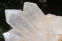 Natural Clear Quartz Clusters x 3 From Madagascar