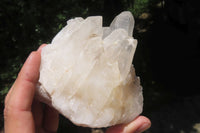 Natural Clear Quartz Clusters x 3 From Madagascar