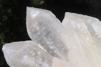 Natural Clear Quartz Clusters x 3 From Madagascar