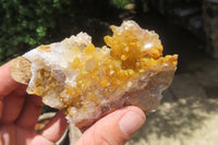 Natural Limonite Quartz Clusters x 6 From Solwezi, Zambia