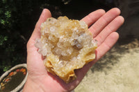 Natural Limonite Quartz Clusters x 6 From Solwezi, Zambia