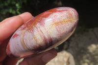 Polished Podocarpus Petrified Wood Standing Free Forms x 4 From Mahajanga, Madagascar