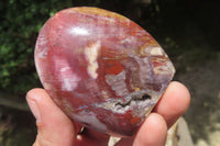 Polished Podocarpus Petrified Wood Standing Free Forms x 4 From Mahajanga, Madagascar