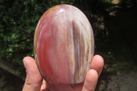 Polished Podocarpus Petrified Wood Standing Free Forms x 4 From Mahajanga, Madagascar