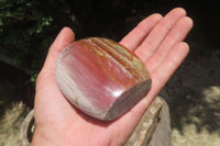 Polished Podocarpus Petrified Wood Standing Free Forms x 4 From Mahajanga, Madagascar