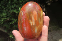 Polished Podocarpus Petrified Wood Standing Free Forms x 4 From Mahajanga, Madagascar