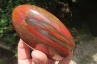 Polished Podocarpus Petrified Wood Standing Free Forms x 4 From Mahajanga, Madagascar