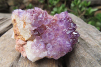 Natural Amethystos Amethyst Clusters x 12 From Kwaggafontein, South Africa