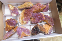 Natural Amethystos Amethyst Clusters x 12 From Kwaggafontein, South Africa