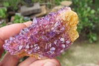 Natural Amethystos Amethyst Clusters x 12 From Kwaggafontein, South Africa