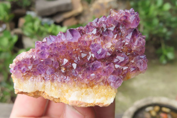 Natural Amethystos Amethyst Clusters x 12 From Kwaggafontein, South Africa