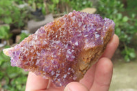 Natural Amethystos Amethyst Clusters x 12 From Kwaggafontein, South Africa