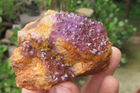 Natural Amethystos Amethyst Clusters x 12 From Kwaggafontein, South Africa