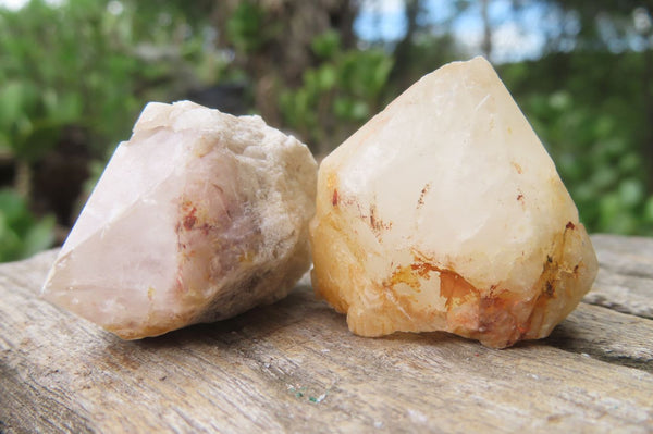 Natural Pineapple Candle Quartz Crystals x 70 From Antsirabe, Madagascar