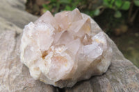 Natural Spirit Quartz Clusters x 12 From Boekenhouthoek, South Africa