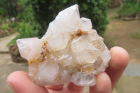 Natural Spirit Quartz Clusters x 12 From Boekenhouthoek, South Africa