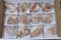 Natural Spirit Quartz Clusters x 12 From Boekenhouthoek, South Africa