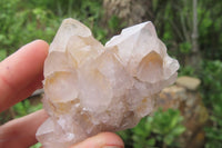 Natural Spirit Quartz Clusters x 12 From Boekenhouthoek, South Africa