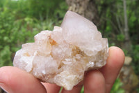 Natural Spirit Quartz Clusters x 12 From Boekenhouthoek, South Africa