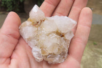 Natural Spirit Quartz Clusters x 12 From Boekenhouthoek, South Africa