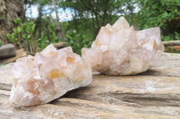 Natural Spirit Quartz Clusters x 12 From Boekenhouthoek, South Africa