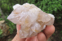 Natural Spirit Quartz Clusters x 12 From Boekenhouthoek, South Africa