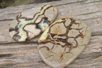 Polished Septerye Slices x 6 From Mahajanga, Madagascar