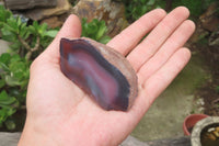 Polished On One Side Red Sashe River Agate x 6 From Zimbabwe