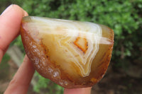 Polished On One Side Red Sashe River Agate x 6 From Zimbabwe