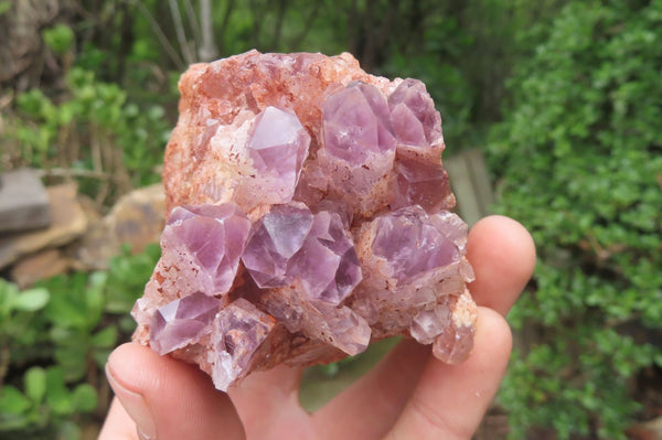 Natural Sugar Amethyst Quartz Clusters x 2 from Solwezi, Zambia