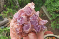 Natural Sugar Amethyst Quartz Clusters x 2 from Solwezi, Zambia