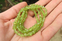 Polished Peridot Beaded Tumble Chip Necklace - Sold Per Item - From Zambia