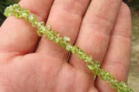 Polished Peridot Beaded Tumble Chip Necklace - Sold Per Item - From Zambia