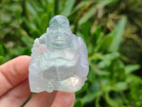 Polished Mini Rainbow Fluorite Buddha Carvings - sold per item - From Uis, Namibia