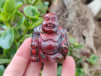 Polished Mini Banded Tiger Iron Jasper Buddha Carvings - sold per item - From Australia