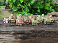 Polished Mini Unakite Buddha Carvings - sold per item - From Australia