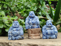 Polished Mini Sodalite Buddha Carvings - sold per item - From Brazil