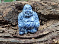 Polished Mini Sodalite Buddha Carvings - sold per item - From Brazil