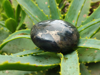 Polished Pharaoh Stone Palm Stones x 6 From Zimbabwe