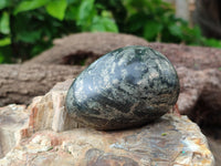 Polished Pharaoh Stone Palm Stones x 6 From Zimbabwe