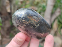 Polished Pharaoh Stone Palm Stones x 6 From Zimbabwe