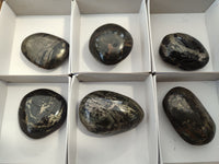 Polished Pharaoh Stone Palm Stones x 6 From Zimbabwe