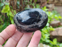 Polished Pharaoh Stone Palm Stones x 6 From Zimbabwe