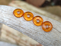 Polished Box of Fossilized Baltic Amber Donut Rings for Pendants x 39 From Poland