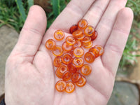 Polished Box of Fossilized Baltic Amber Donut Rings for Pendants x 39 From Poland